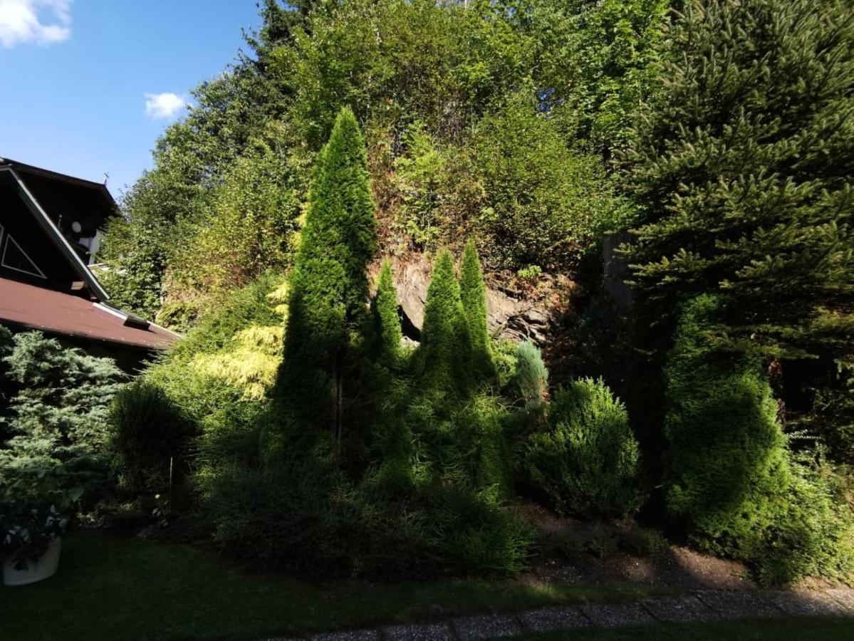 Haus Am Bach Apartment Kirchberg in Tirol Luaran gambar